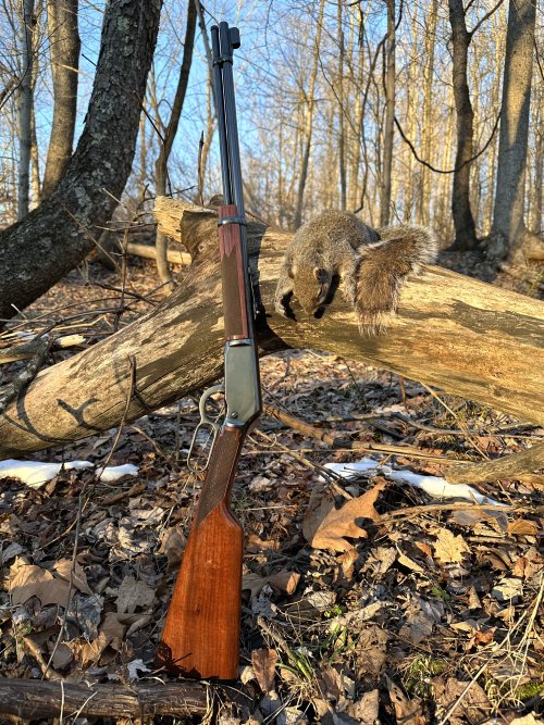 IMG_7967.jpeg IMG_7967.jpeg