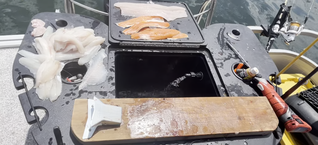 1772463826432.png 1772463826432.png