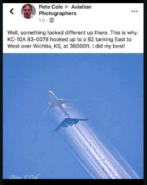 IMG_5043.jpeg IMG_5043.jpeg