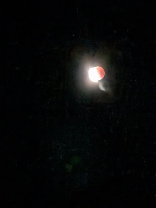 PXL_20260303_122448575.NIGHT.jpg PXL_20260303_122448575.NIGHT.jpg