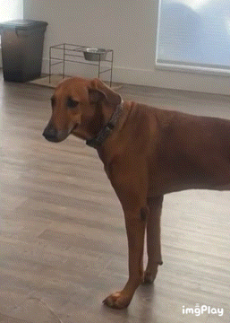 1772600299180.gif 1772600299180.gif