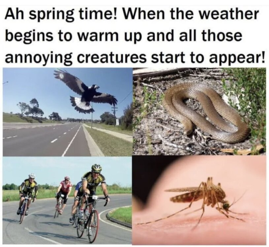 1772640721736.png