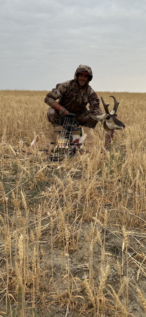 IMG_3231.png IMG_3231.png