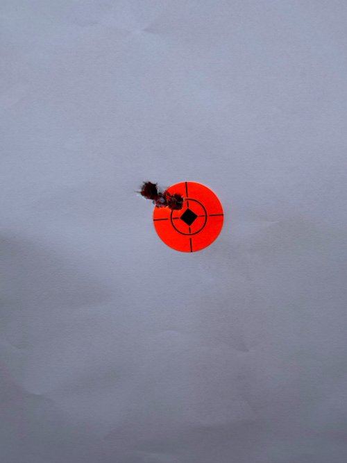IMG_7196.jpeg IMG_7196.jpeg