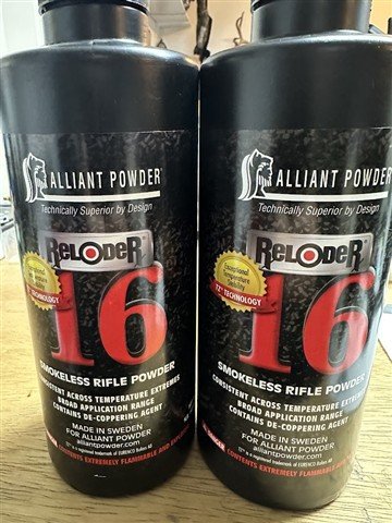 rl16 1 (Small).JPG