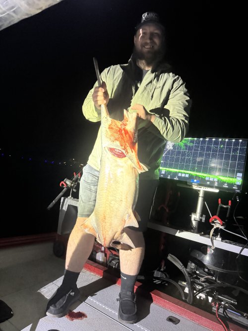 IMG_3306.jpeg IMG_3306.jpeg