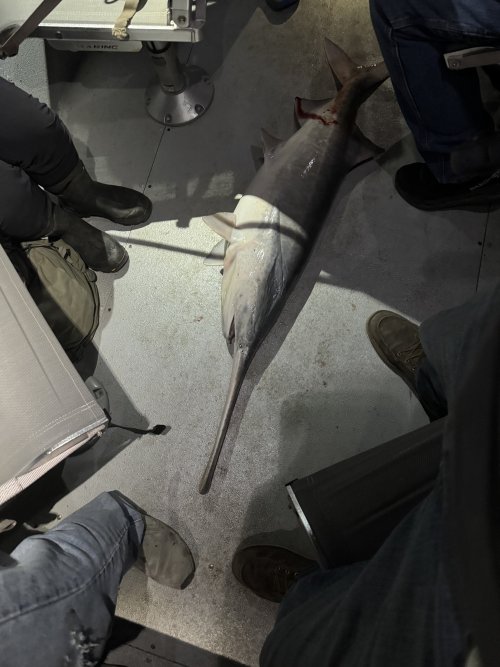 IMG_3308.jpeg IMG_3308.jpeg