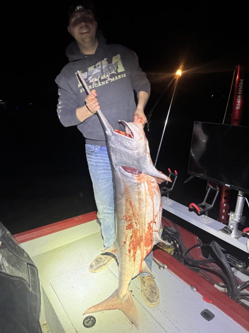 IMG_3317.jpeg IMG_3317.jpeg