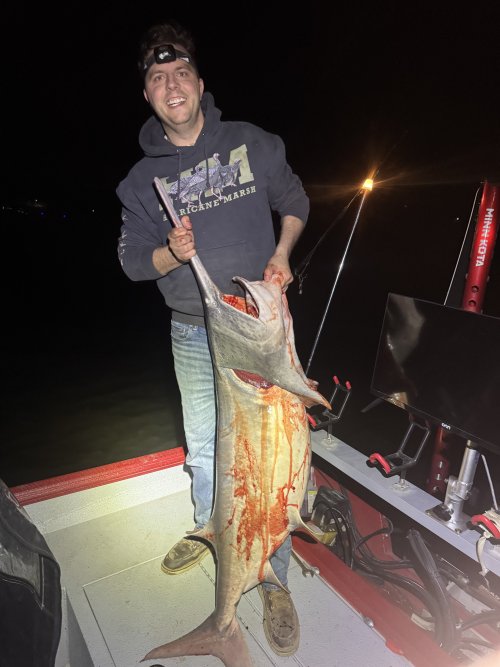 IMG_3315.jpeg IMG_3315.jpeg