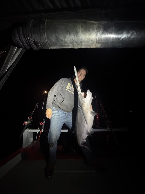 IMG_3320.jpeg IMG_3320.jpeg