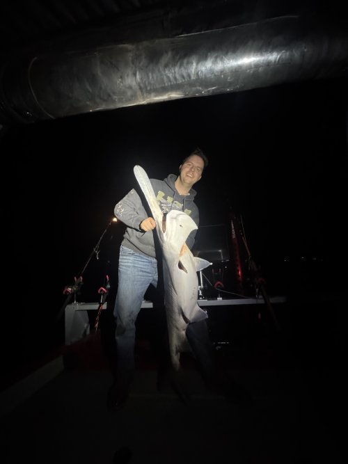 IMG_3321.jpeg IMG_3321.jpeg