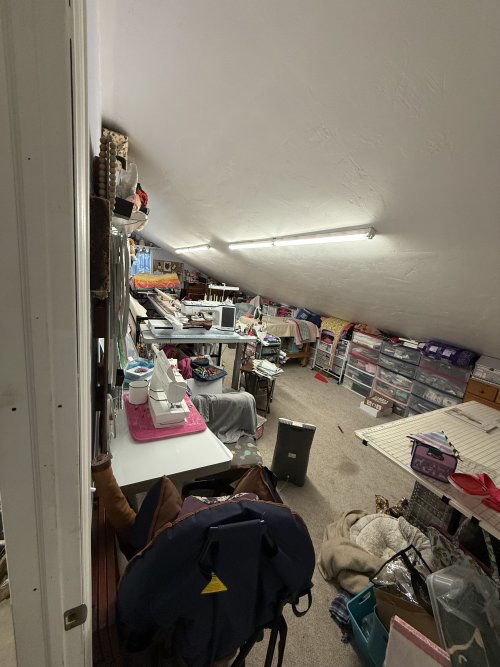 IMG_4643.jpeg IMG_4643.jpeg