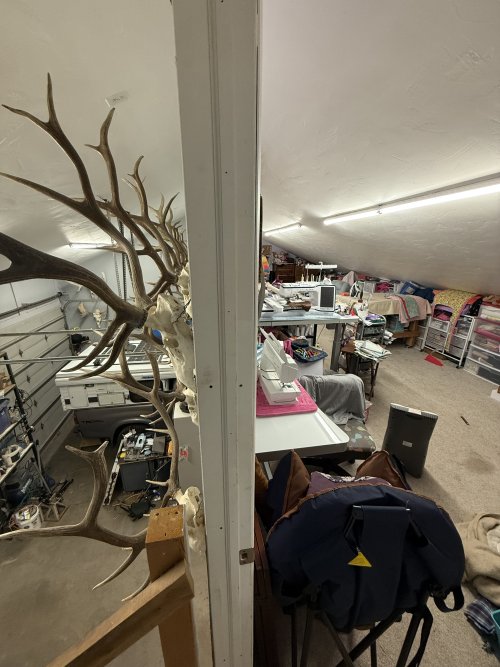 IMG_4644.jpeg IMG_4644.jpeg