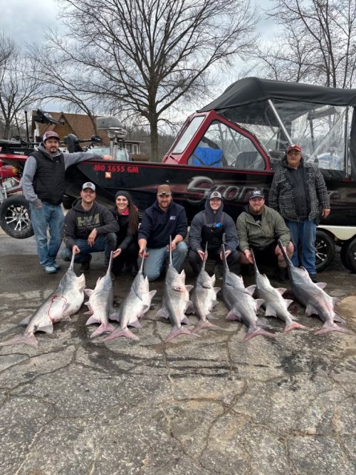 4136208459314913870.jpeg 4136208459314913870.jpeg