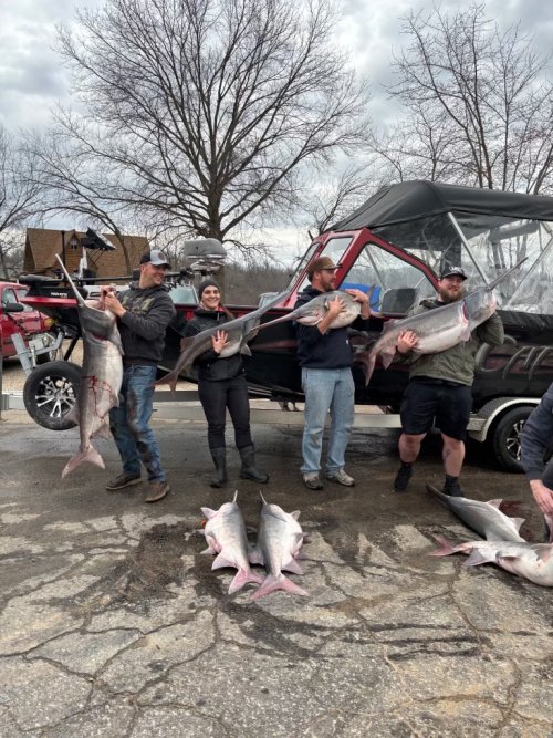 1928516939214886419.jpeg 1928516939214886419.jpeg