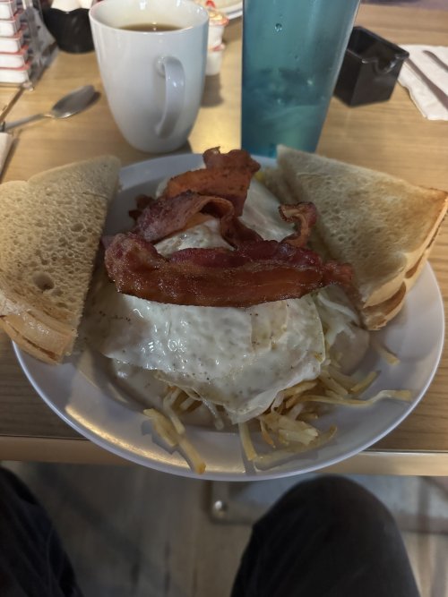 IMG_3356.jpeg IMG_3356.jpeg