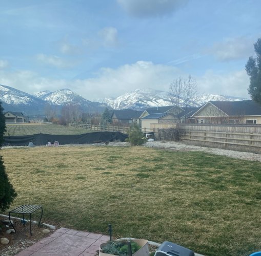 snow.JPG