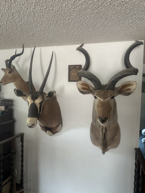 IMG_6448.jpeg IMG_6448.jpeg