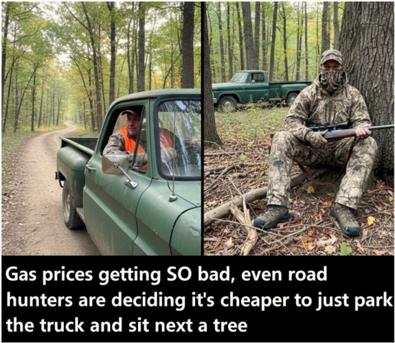1773785933130.png