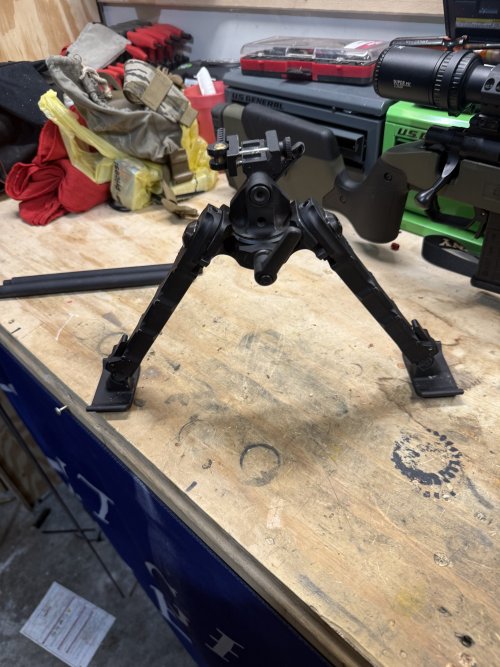 IMG_4713.jpeg