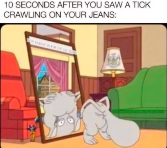 1773833925843.png