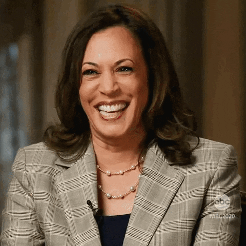 giphy[1].gif