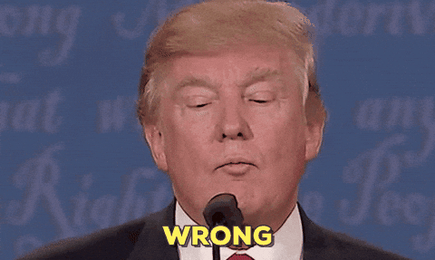 1773937031112.gif 1773937031112.gif