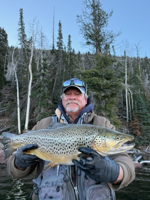 Troy Adams FL 11-5-25A.jpg