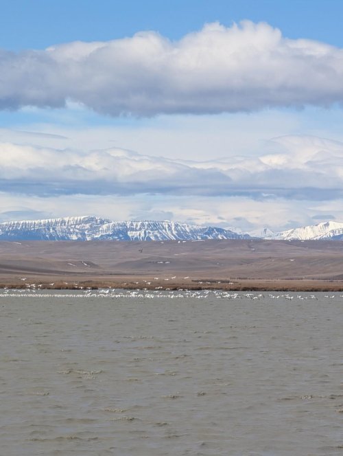 Freezeout with Rocky Mtn Front backdrop.jpg