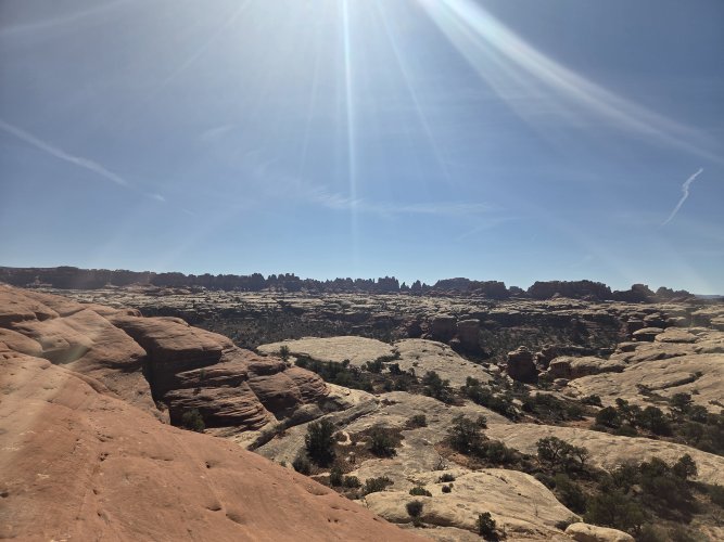 20260319_153714.jpg