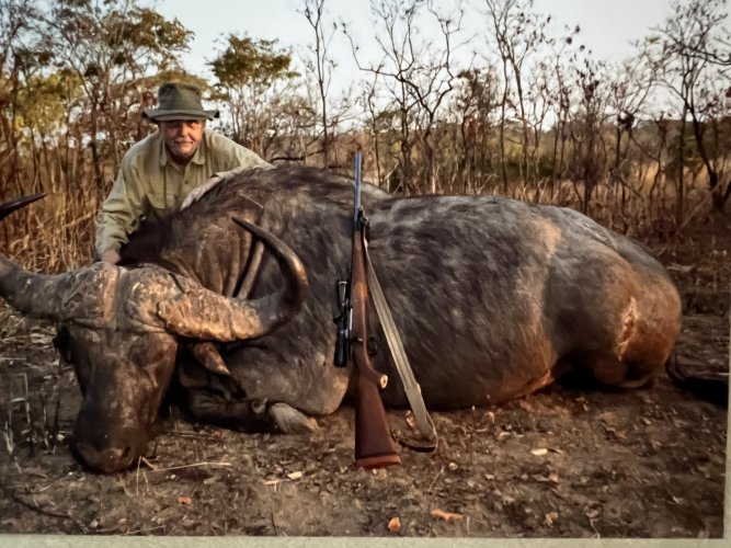 IMG_3082.jpeg IMG_3082.jpeg