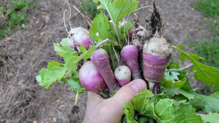 20260317_190440.jpg 20260317_190440.jpg