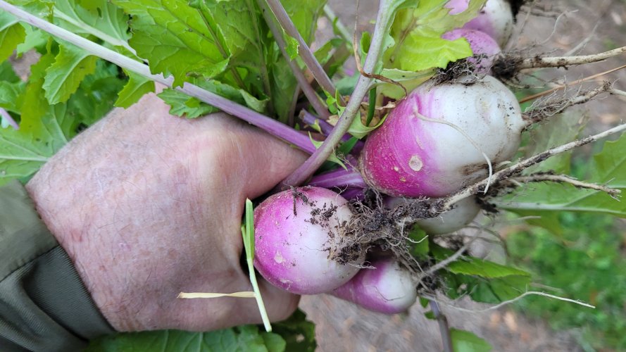 20260317_190448.jpg 20260317_190448.jpg