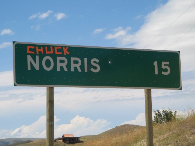 Norris.jpg