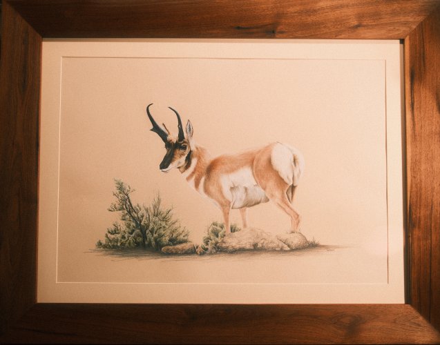 DSCF5269.jpeg DSCF5269.jpeg