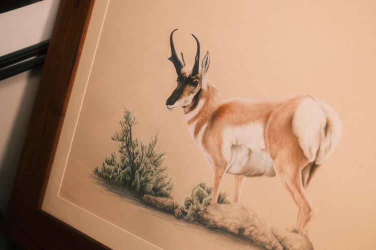 DSCF5271.jpeg DSCF5271.jpeg