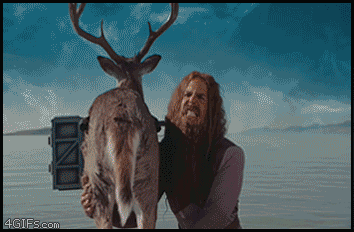 IMG_4079.gif
