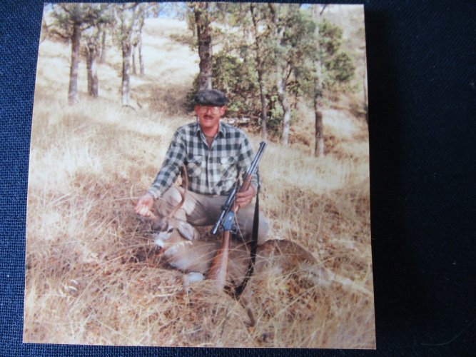 Calif blacktail buck.JPG Calif blacktail buck.JPG