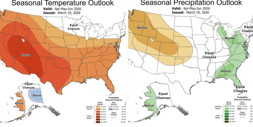 IMG_3522.jpeg IMG_3522.jpeg