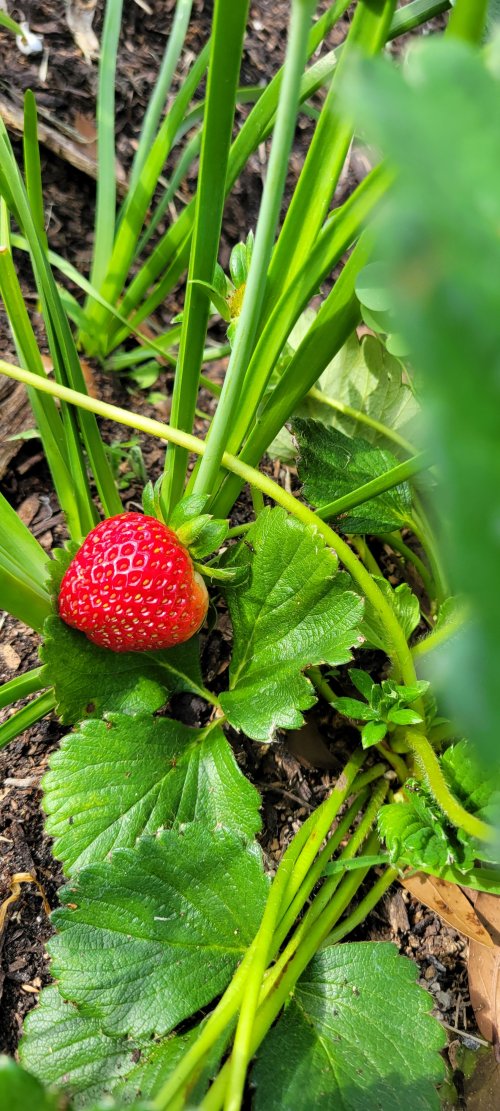 20260325_154411.jpg 20260325_154411.jpg