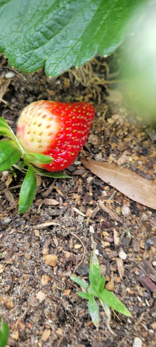 20260325_154355.jpg 20260325_154355.jpg