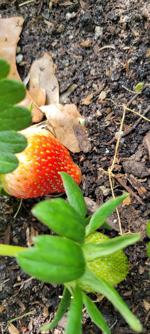 20260325_154351.jpg 20260325_154351.jpg