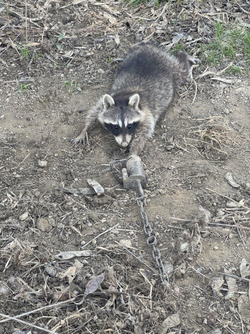 IMG_3549.jpeg IMG_3549.jpeg