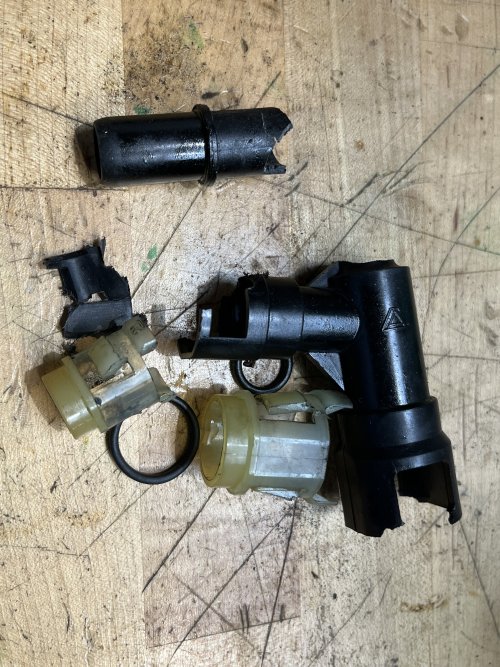 IMG_4905.jpeg IMG_4905.jpeg