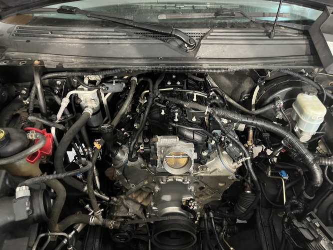 IMG_4904.jpeg IMG_4904.jpeg