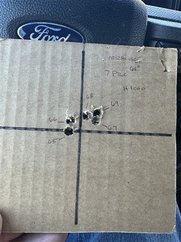 IMG_1679 (Small).JPG