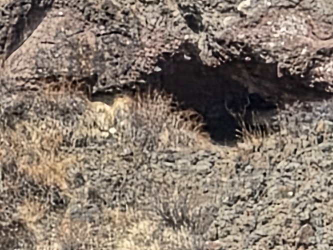 20260328_104003.jpg 20260328_104003.jpg