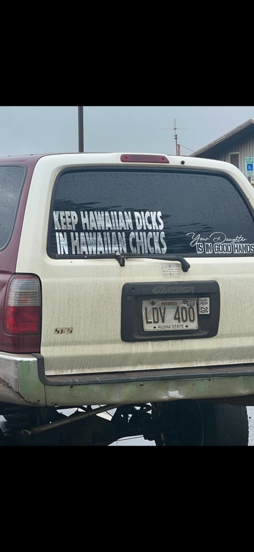 Screenshot_20260328_202932_Gallery.jpg Screenshot_20260328_202932_Gallery.jpg