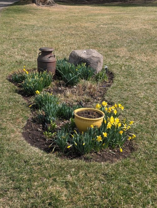 March 30th.jpg March 30th.jpg