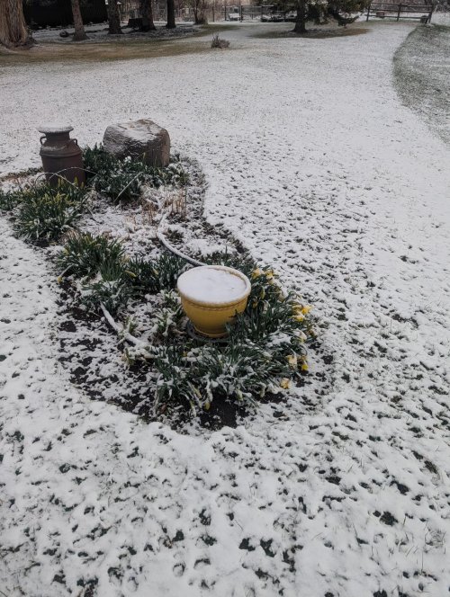 March 31st.jpg March 31st.jpg